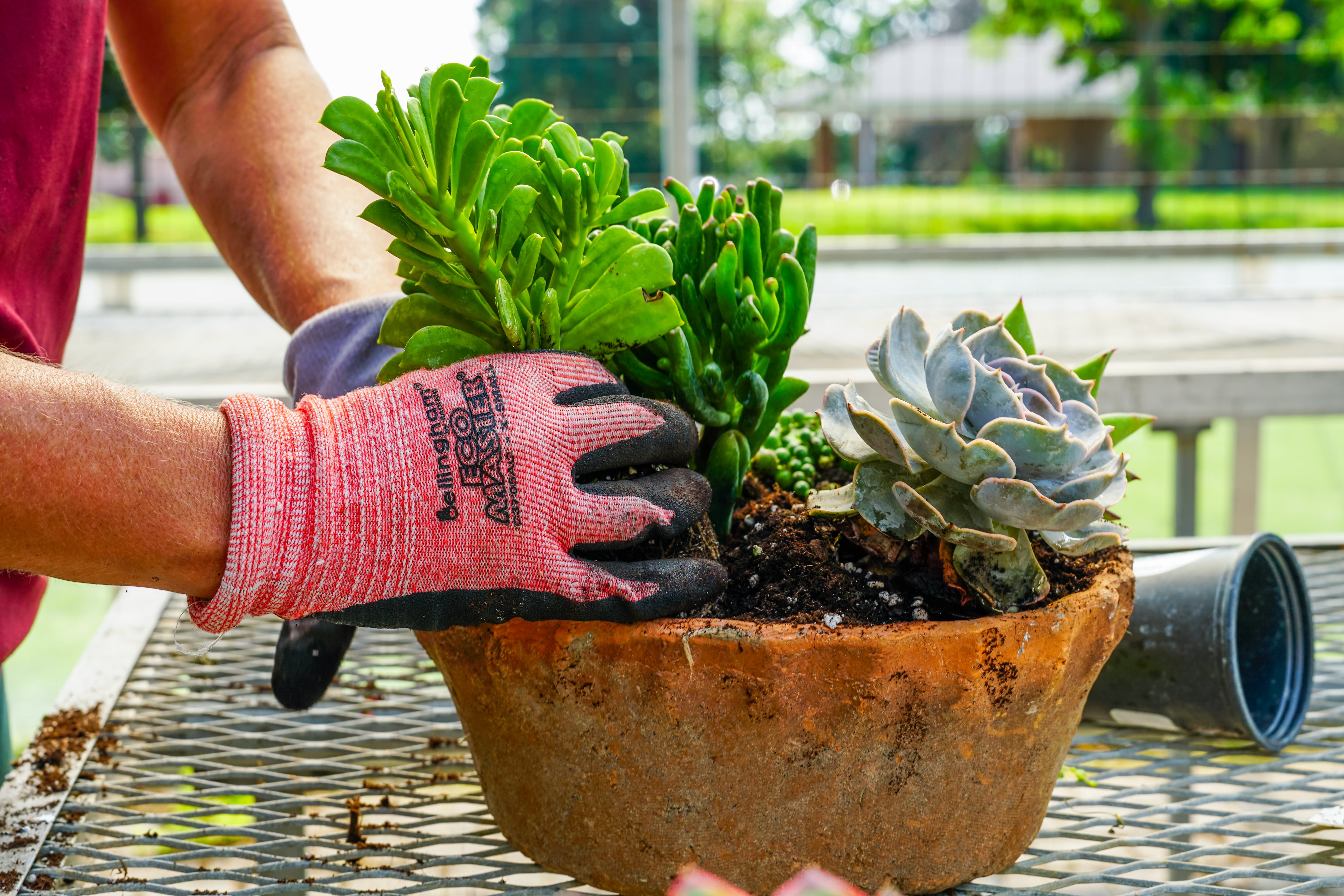 Heinz Brothers Greenhouse, Aquascape Construction ponds win ‘Made in St. Charles’ awards — Arlington Heights Government news