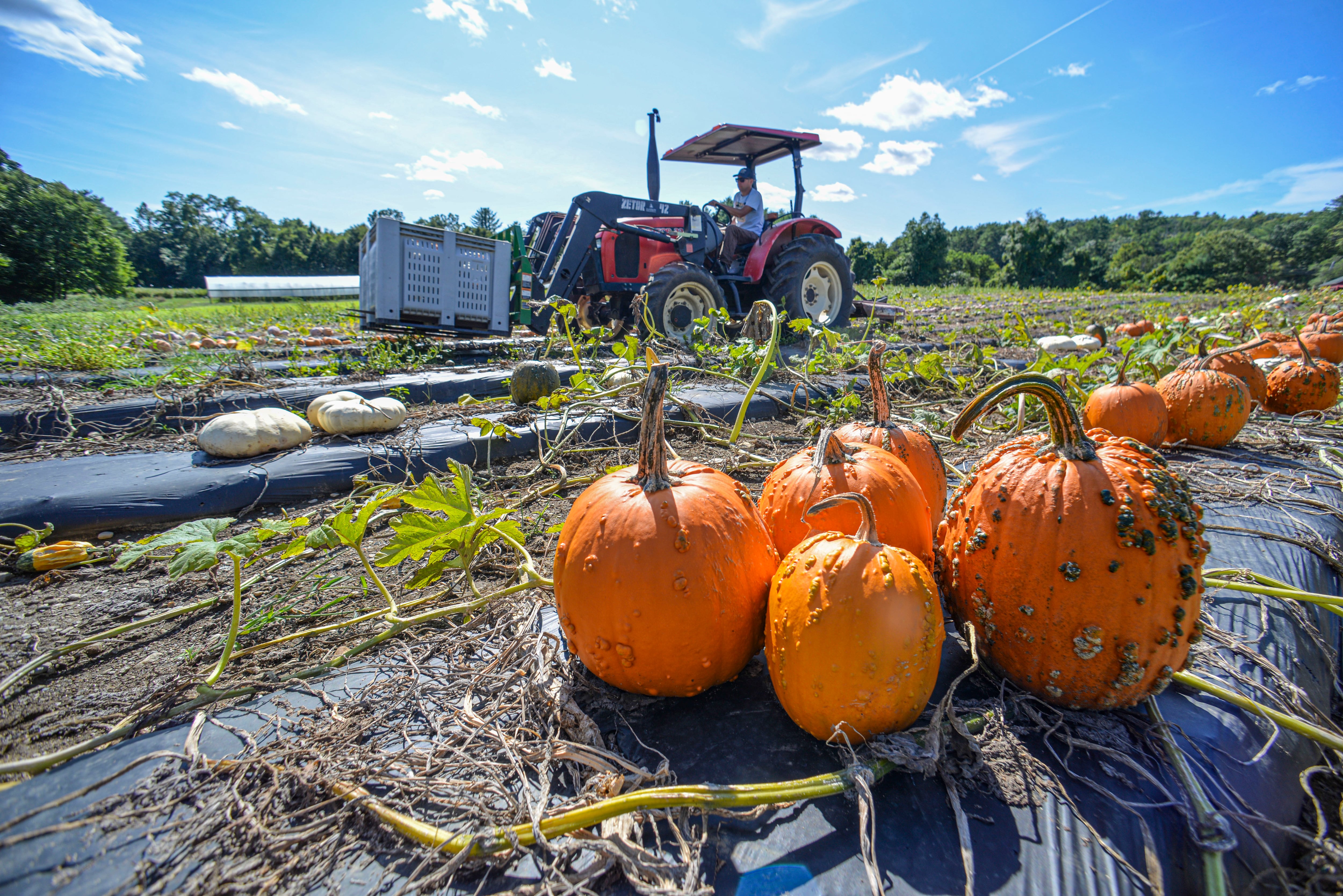 Breaking point: Rising costs grip ag economy — Arlington Heights Arts news